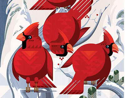 İşıq çirklənməsi Yer kürəsində 2014-cü ildən bəri 16% artıb