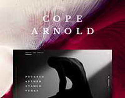 Прокурор Жанәбіловтерге жаза мерзімін сұрады