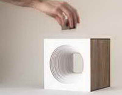 Тошкентда суд қарорига норози эркак дарахтга чиқиб олди